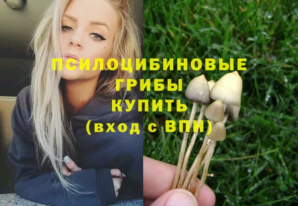 MDMA Алексеевка