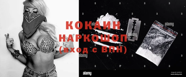 винт Алзамай