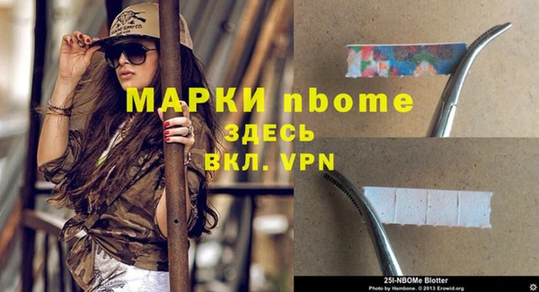 винт Алзамай