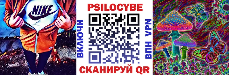 Псилоцибиновые грибы мицелий  darknet как зайти  Карабаш 